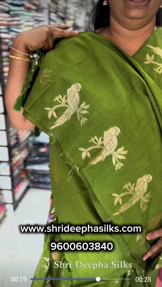 Parrot Tussar Silk Saree